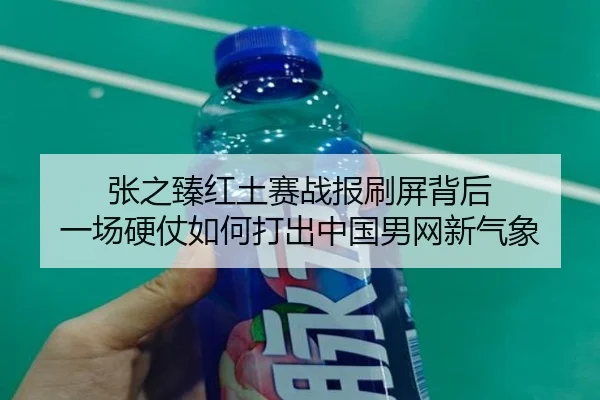 张之臻红土赛战报刷屏背后 一场硬仗如何打出中国男网新气象